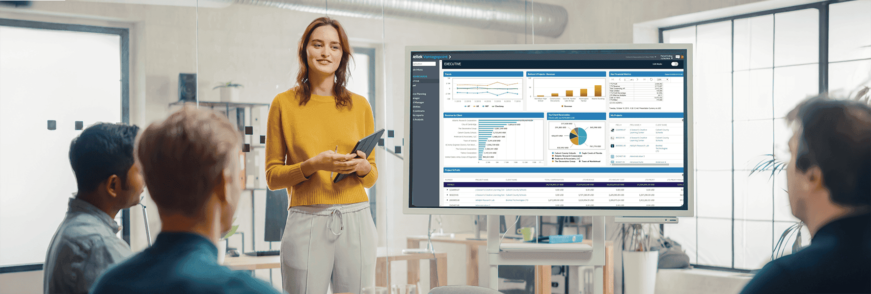 Deltek Vantagepoint Consulting Services
