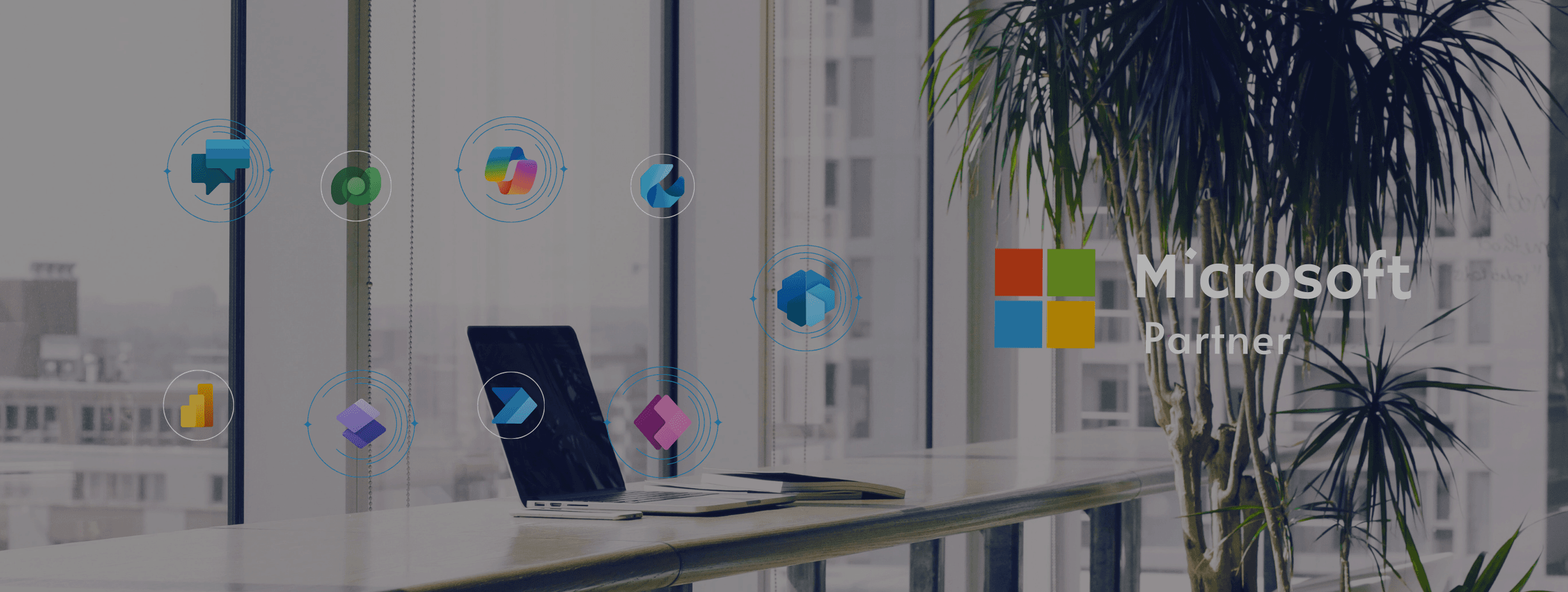 Transform Your Business with Microsoft Power Platform Low-Code Solutions